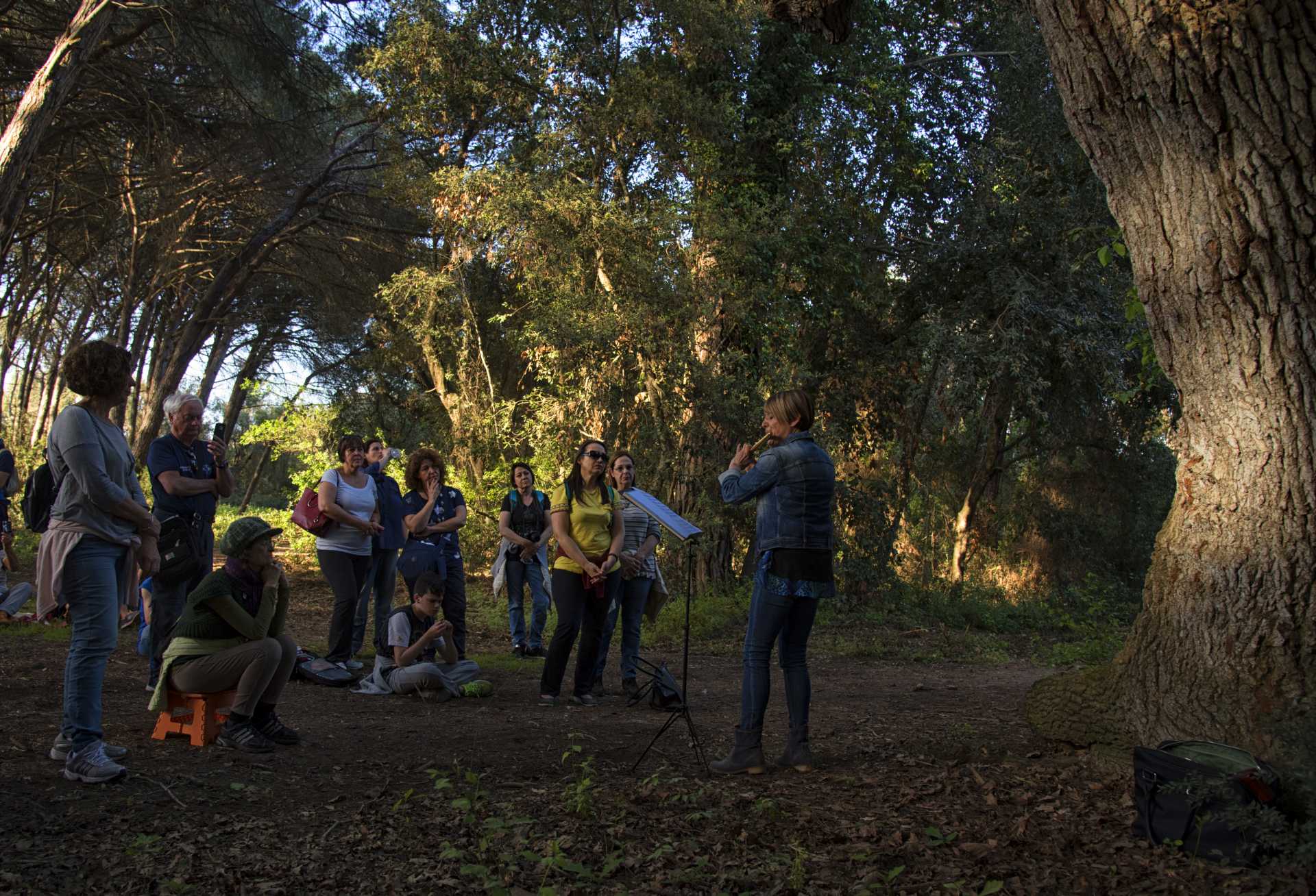 Due passi in musica nella villa di Plinio